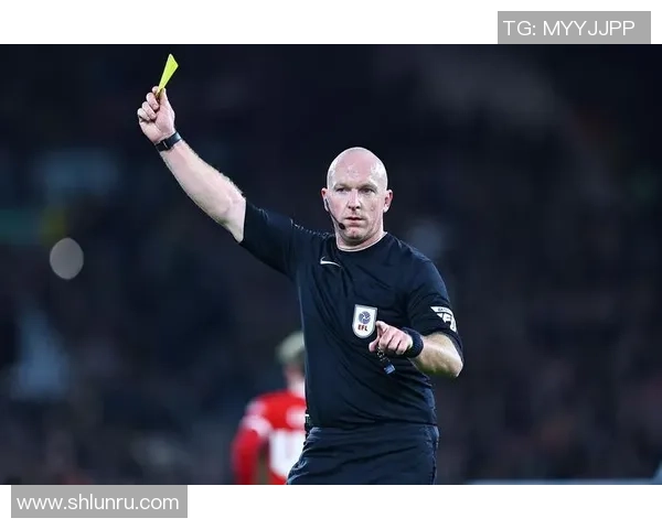 欧洲著名足球裁判被捕涉嫌加入多起谋杀案有组织犯罪集团